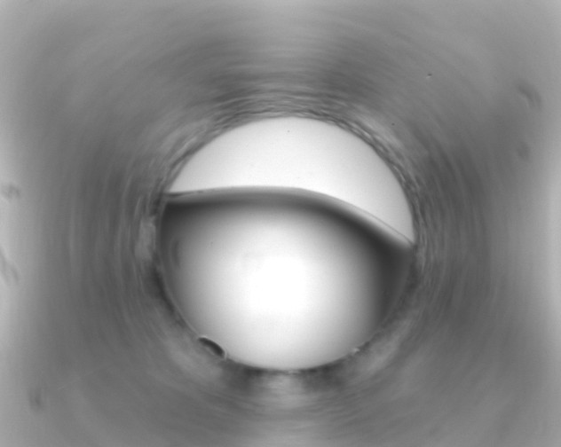 X0000091350325200708101041