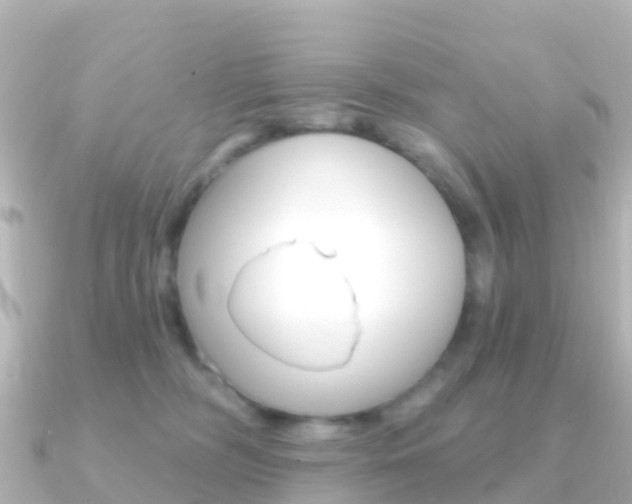 X0000091350326200708101041