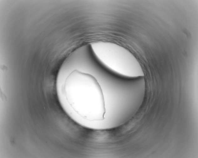 X0000091350328200708101041