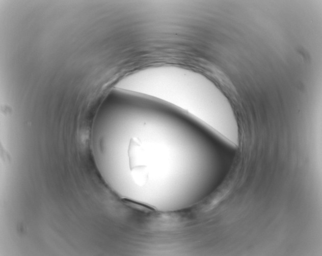 X0000091350329200708101041