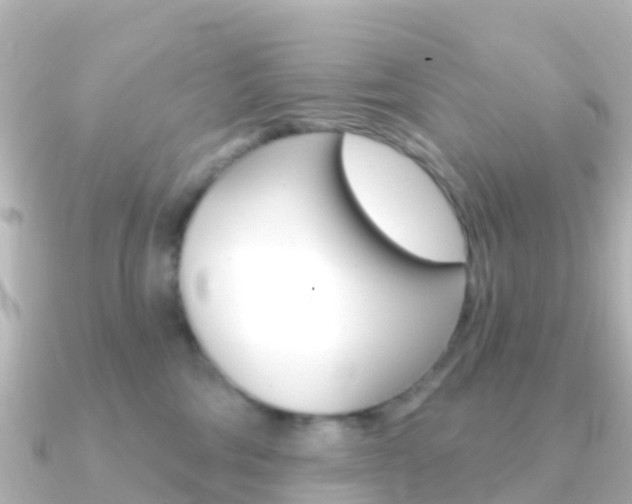 X0000091350330200708101041