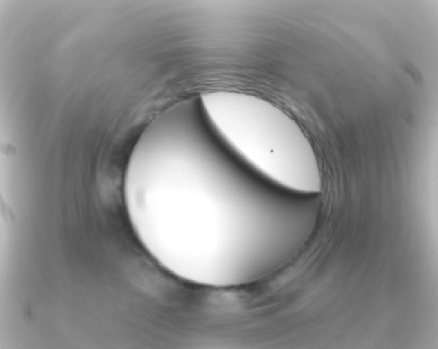 X0000091350332200708101041