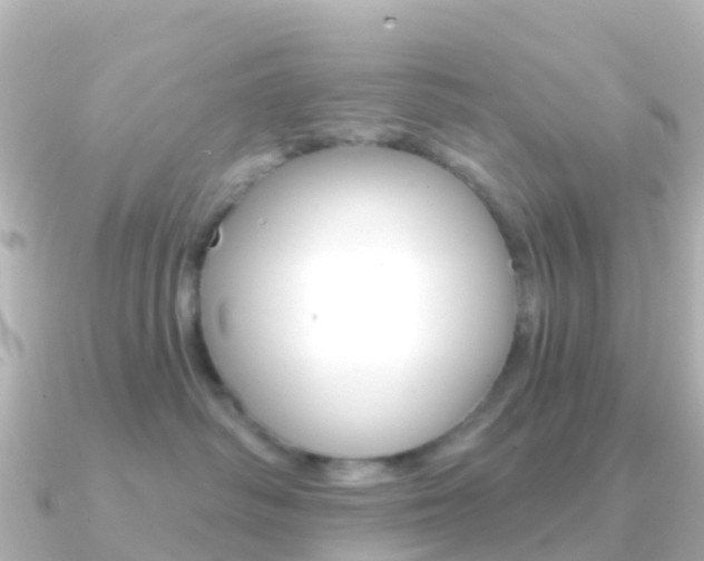 X0000091350334200708101041