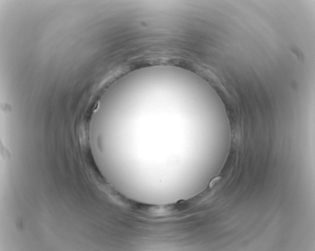 X0000091350335200708101041