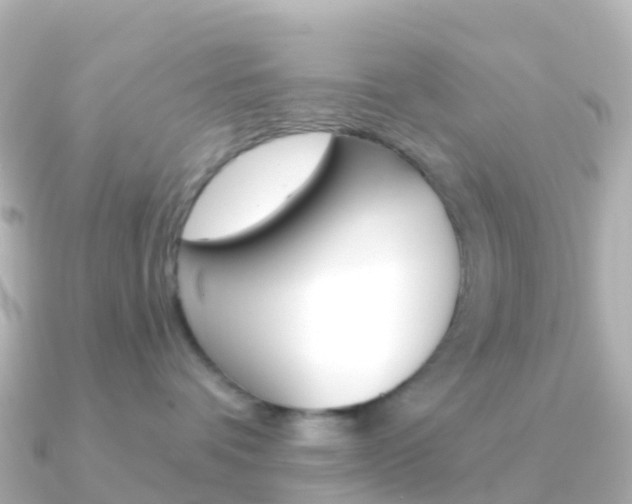X0000091350336200708101041