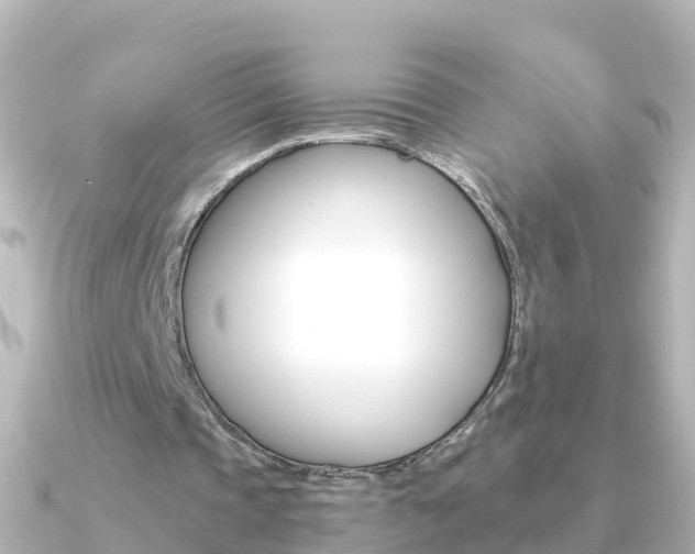 X0000091350337200708101041