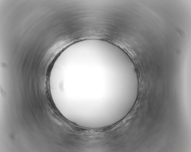 X0000091350338200708101041