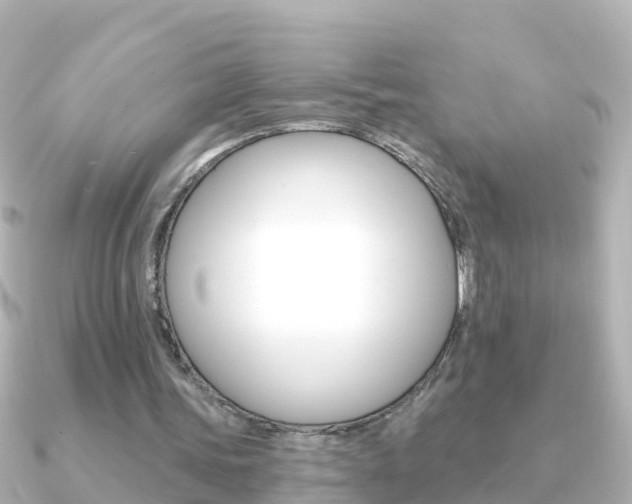X0000091350339200708101041