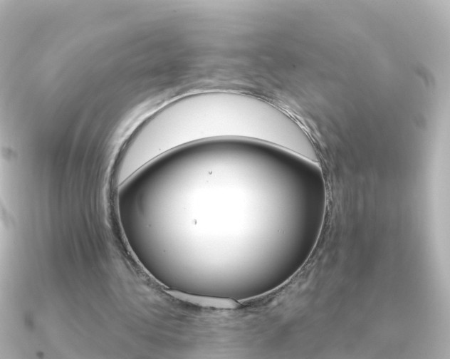 X0000091350340200708101041
