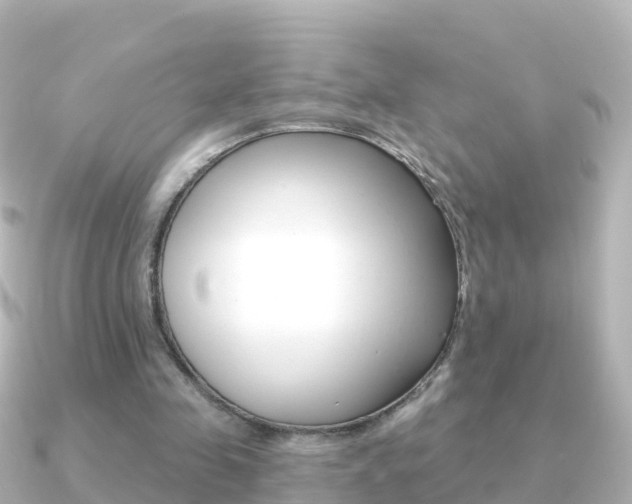 X0000091350341200708101041