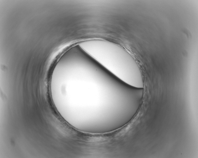 X0000091350342200708101041