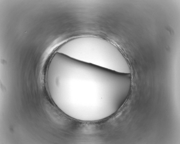 X0000091350343200708101041