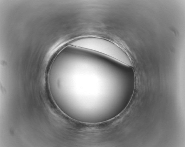 X0000091350344200708101041
