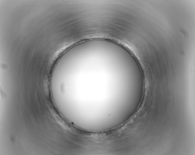 X0000091350345200708101041