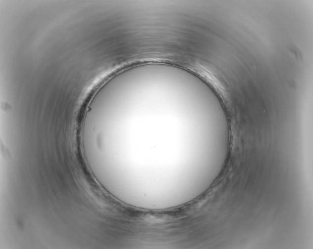 X0000091350346200708101041