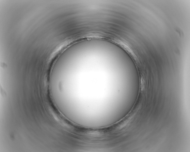 X0000091350349200708101041