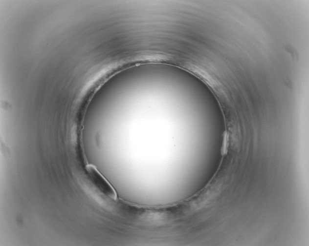 X0000091350350200708101041