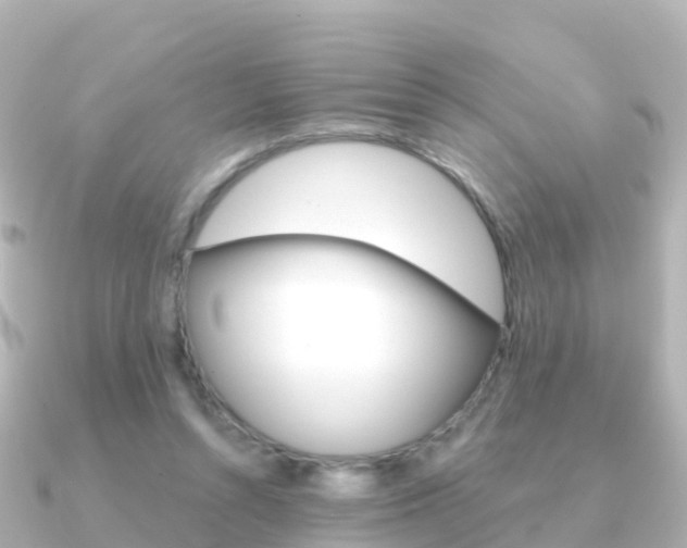 X0000091350352200708101041