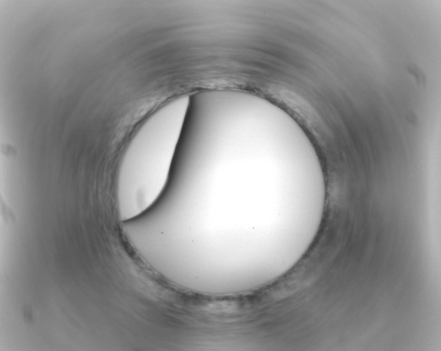 X0000091350353200708101041