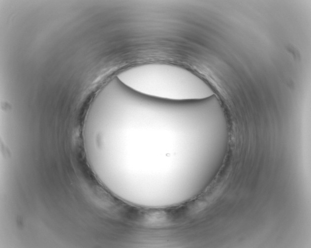X0000091350355200708101041
