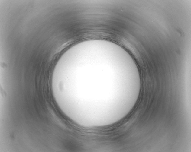 X0000091350356200708101041