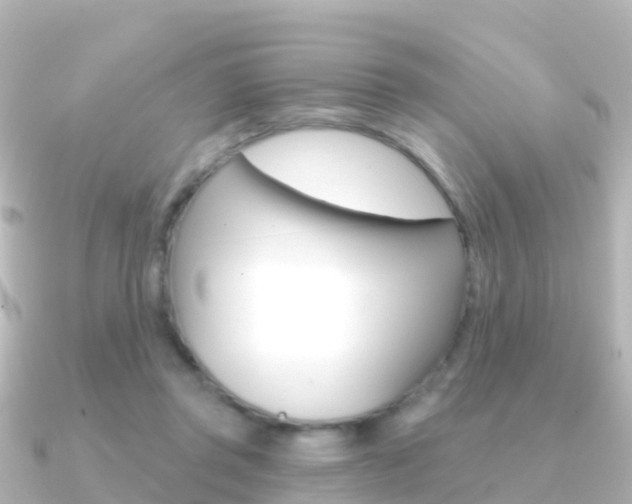 X0000091350357200708101041