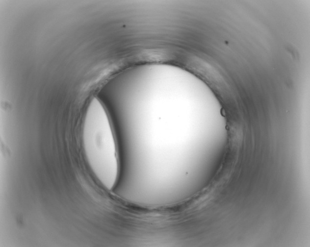 X0000091350358200708101041