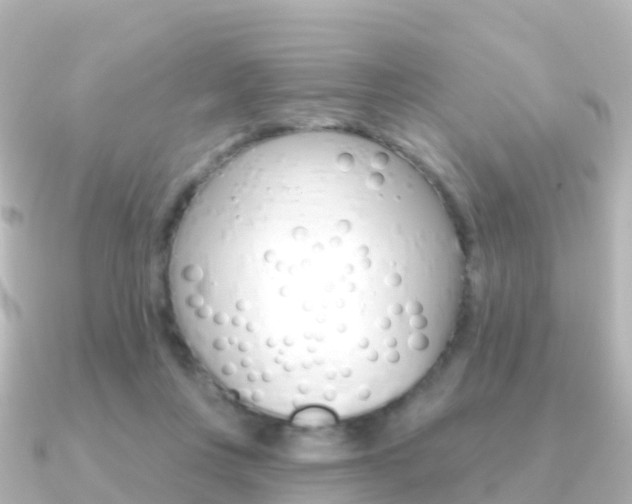 X0000091350359200708101041