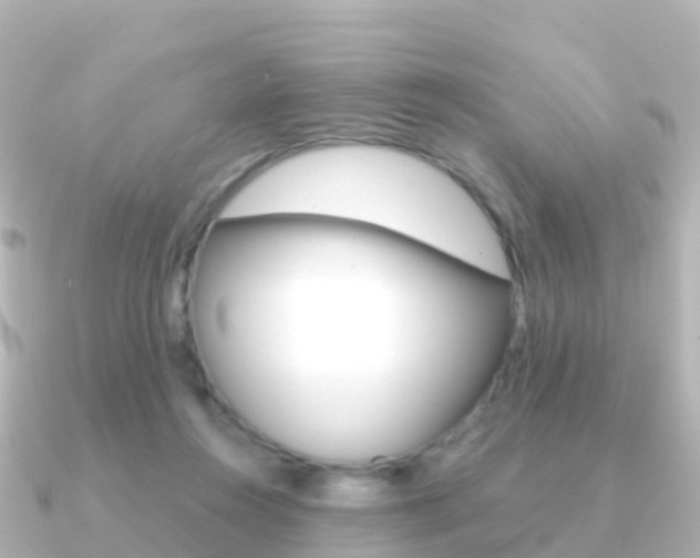 X0000091350360200708101041