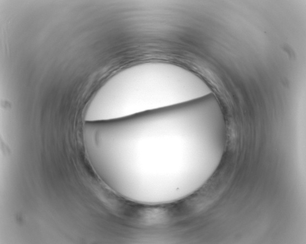 X0000091350361200708101041