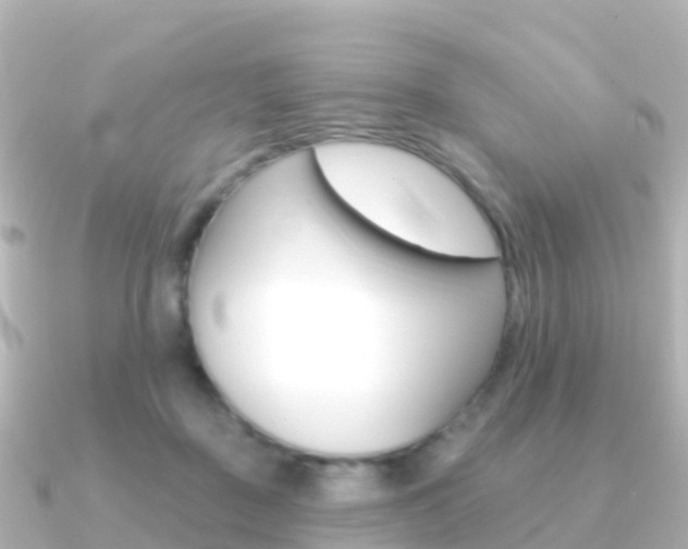 X0000091350363200708101041