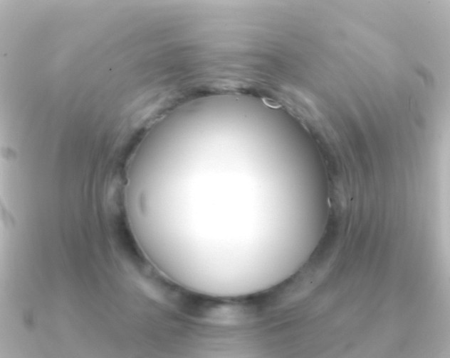 X0000091350364200708101041