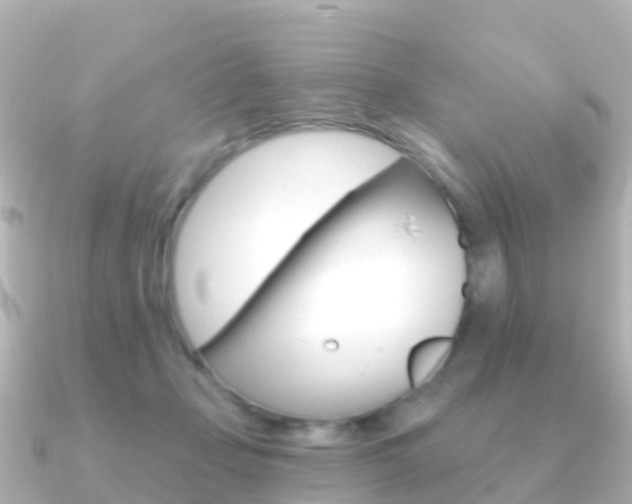X0000091350365200708101041