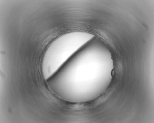 X0000091350366200708101041