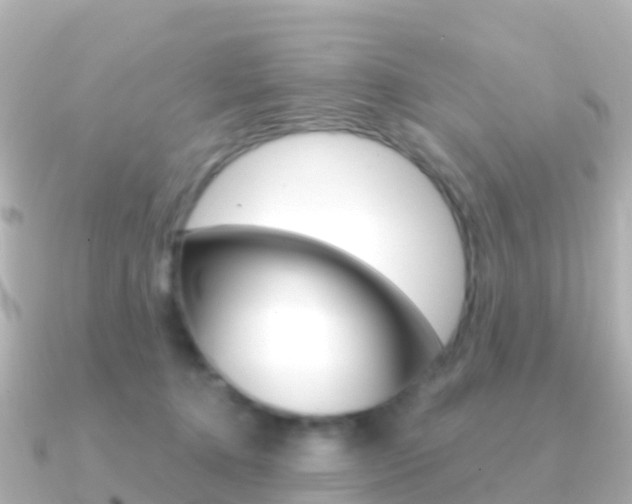 X0000091350368200708101041