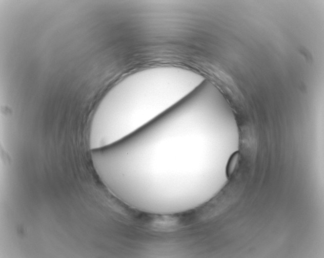 X0000091350369200708101041