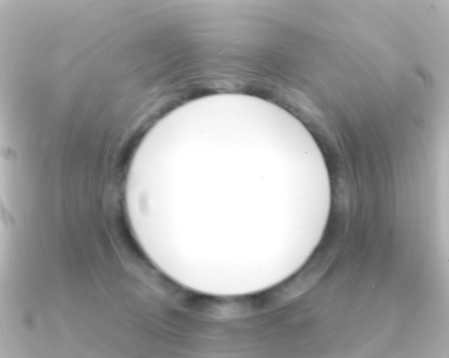 X0000091350370200708101041