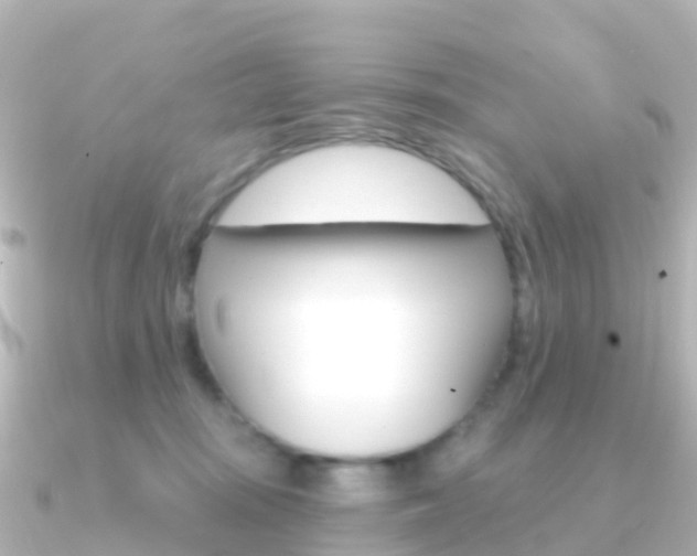 X0000091350371200708101041