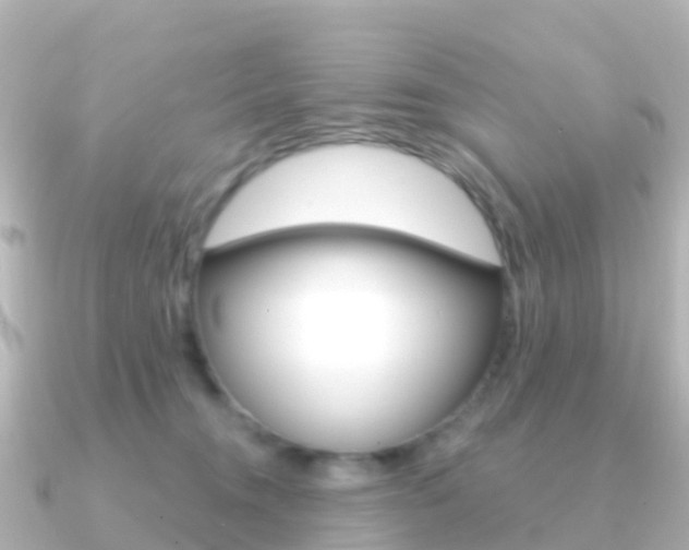 X0000091350372200708101041