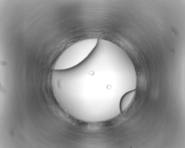 X0000091350373200708101041