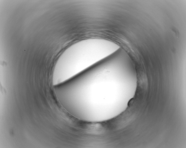 X0000091350374200708101041