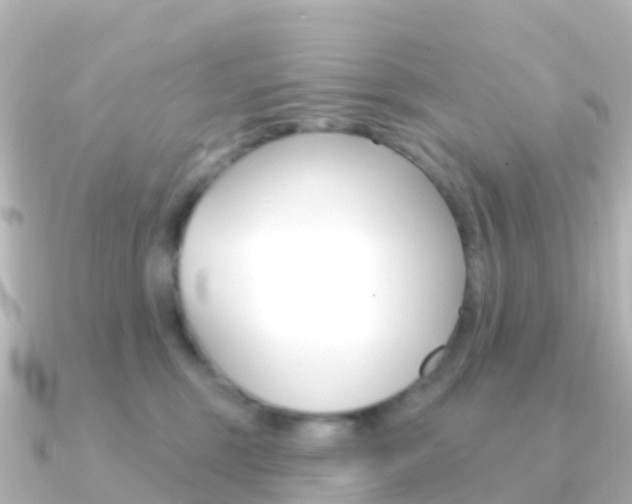 X0000091350375200708101041
