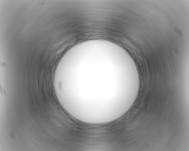 X0000091350376200708101041