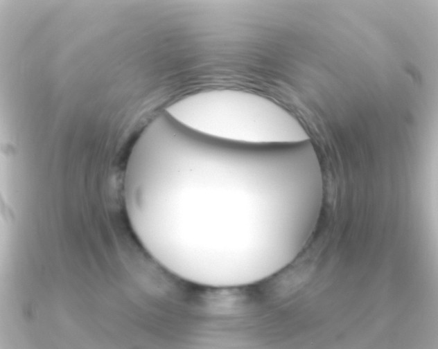 X0000091350378200708101041