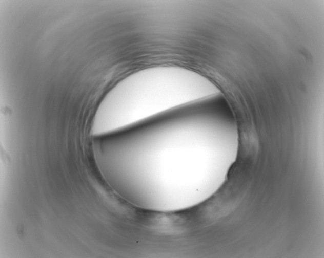 X0000091350379200708101041