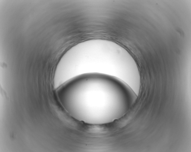 X0000091350380200708101041