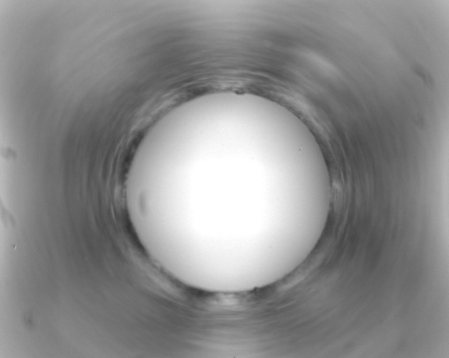 X0000091350381200708101041