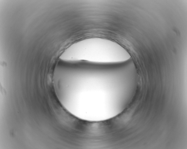 X0000091350382200708101041