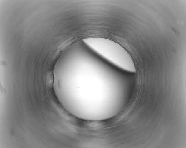 X0000091350383200708101041