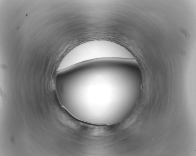 X0000091350384200708101041